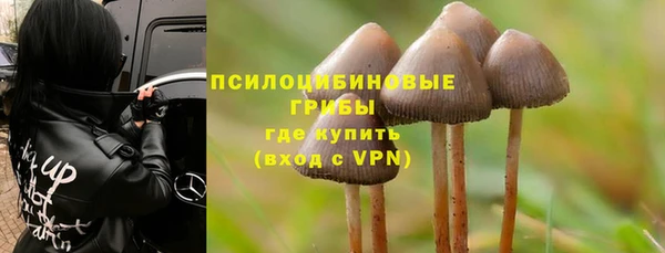 марки lsd Вяземский