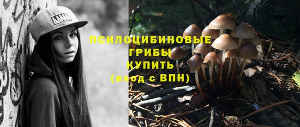 соль ск Вязьма