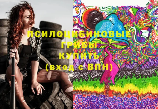марки lsd Вяземский